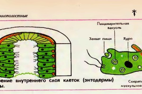 Кракен наркоторговля