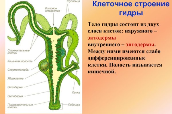 Рабочее зеркало кракен store