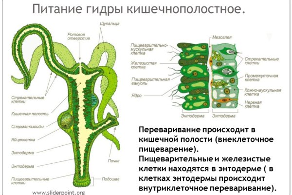 Kraken clear ссылка