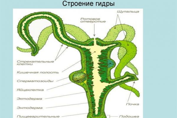 Кракен что это такое наркотики